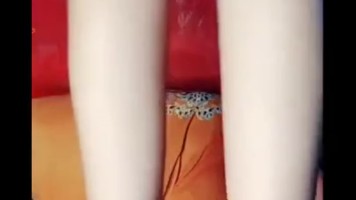 Imel Ngangkang Lanjut Omek Terong